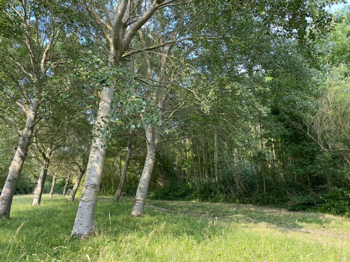 Huisje In Zeeland Helemaal Gerenoveerd Sint-Annaland Exterior foto
